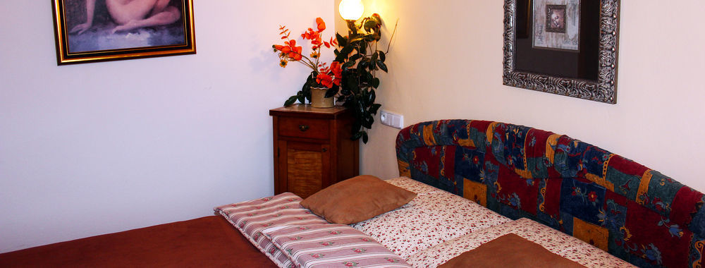 Wellness Pension Ametyst Český Krumlov Εξωτερικό φωτογραφία